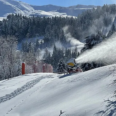 Apartment T2 Pres Des Pistes Avec Equipement Bebe, Casier A Skis, Animaux Non Admis - Fr-1-787-68 Laveissiere