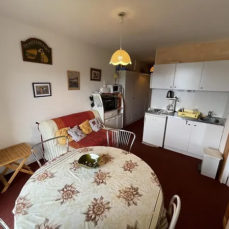 T2 Près Des Pistes Avec équipement Bébé, Casier à Skis, Animaux Non Admis - Fr-1-787-68 Laveissière